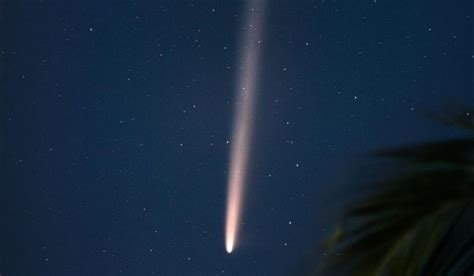 Cometa Do S Culo Registrado Por Fot Grafo Na Bahia