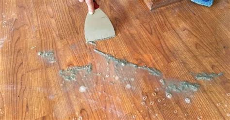 How To Get Dried Latex Paint Off Of Hardwood Floors Floor Roma