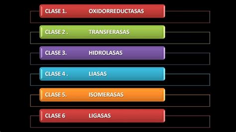 Enzimas Clasificación YouTube