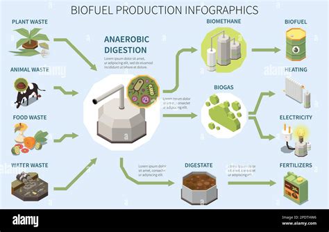 Póster De Infografías De Producción De Biocombustibles Con Tipos De