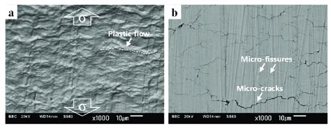 Surface Damage Morphology According To The Fracture Modes Surface