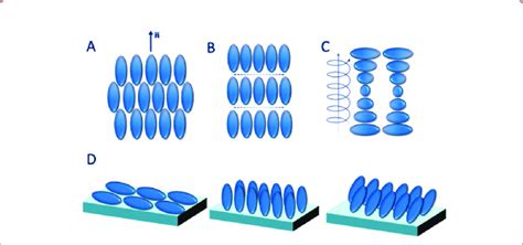 Liquid Crystalline Phases And Their Respective Orientation A Nematic Download Scientific