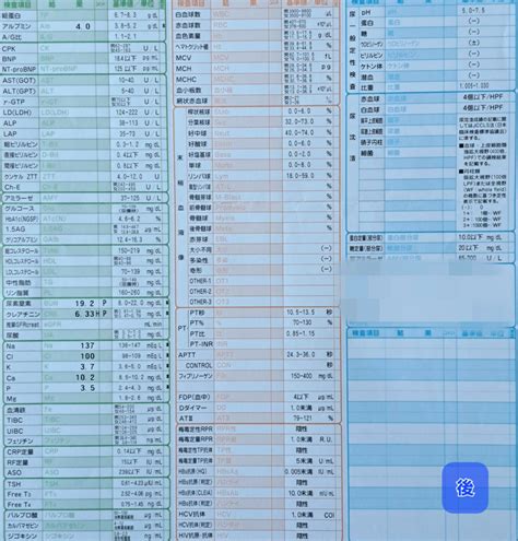 【2023年12月】在宅血液透析外来報告（「アジルバ」効きすぎ？） 腎生を善く生きる~在宅血液透析患者のリアル~