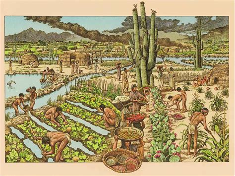 Learn about Hohokam irrigation canals at Historical Society presentation | InMaricopa