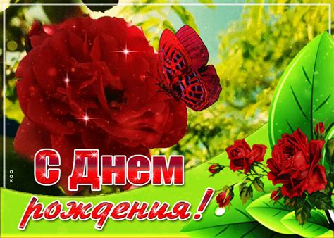 Открытка с днем рождения женщине с чудесной розой- Скачать бесплатно на ...