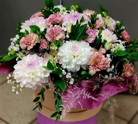 Ghim của WAE vd Meijden trên Flower boxes