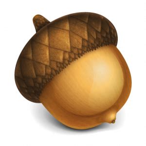 Acorn clipart transparent background, Acorn transparent background Transparent FREE for download ...