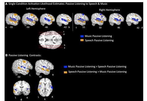 Figure From The Relationship Between The Neural Computations For