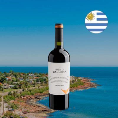 Alto De La Ballena Reserva Cabernet Franc 2016 Center Gourmet Vinhos