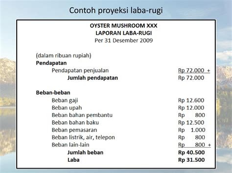 Detail Contoh Proyeksi Keuangan Bisnis Plan Koleksi Nomer 22