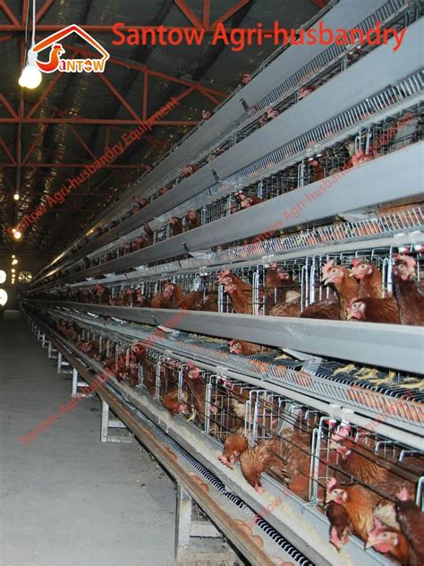 Design 5000 Birds Chicken Layer Cages Factory Price Poultry Battery