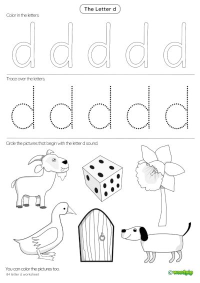 The Letter D Worksheet For Preschool