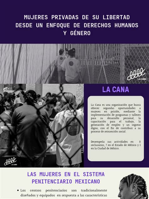 Mujeres Privadas De Su Libertad Desde Un Enfoque De Derechos Humanos Y Género Pdf Prisión