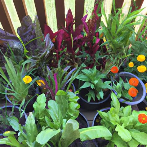 Micro Gardens For All Seasons Thriving With Containers Enjoy