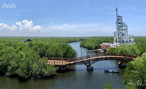 Menjelajahi Hutan Mangrove Langsa Objek Wisata Kelas Dunia