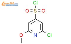 2 Chloro 6 methoxypyridine 4 sulfonylchloride 1261468 23 8 湖北国云福瑞科技有限公司