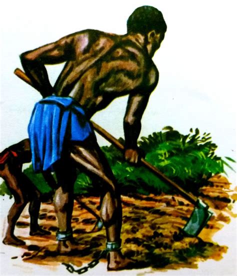 Esclavos Africanos Trabajando En La Agricultura En 2023 Esclavos