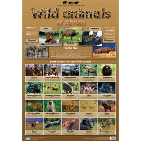 Wild Animals Wall Chart | Rapid Online