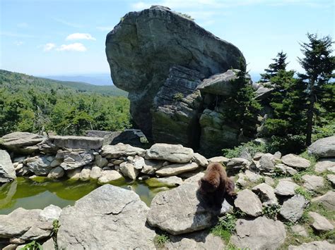 North Carolina Hikes: Grandfather Mountain Wildlife Habitats