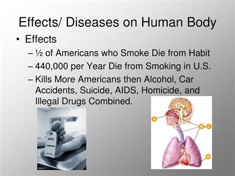 The Effects Of Smoking Cigarettes