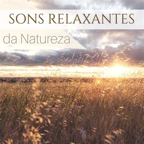 Sons Relaxantes Da Natureza M Sica Relaxante Para O Sono Das