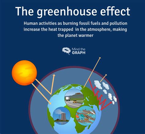 Carbon cycle and greenhouse effect - A scientific infographic