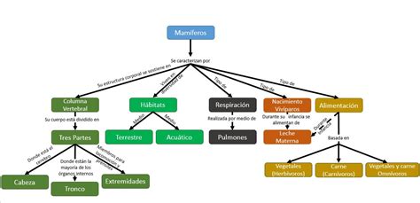 Mapas Conceptuales Relacionales Y Procedimentales ~ Ucafe