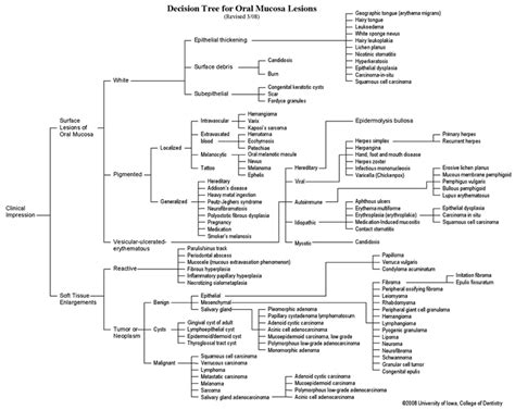 Vesicular-Ulcerated-Erythematous Surface Lesions of Oral Mucosa | A Guide to Clinical ...