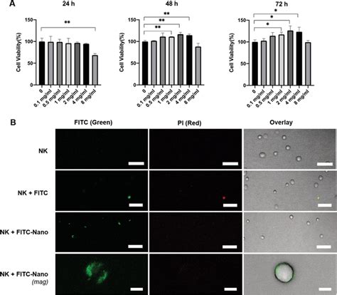 Uptake Of Trehaloseloaded Nanoparticles By NK Cells A Viability Of