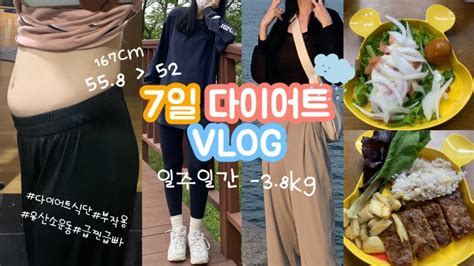 Eng 다이어트 브이로그 ‍🔥 일주일 4kg 감량 성공 다이어트 식단 🍊🥬 단기간 다이어트 급찐급빠 Diet