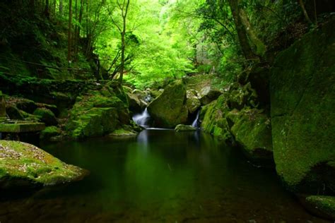 赤目四十八滝渓谷の絶景｜zekkei Japan