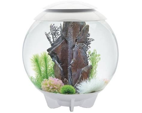 Aquarium BiOrb Halo MCR 60 Liter Wit Koop Nu Bij Haxo