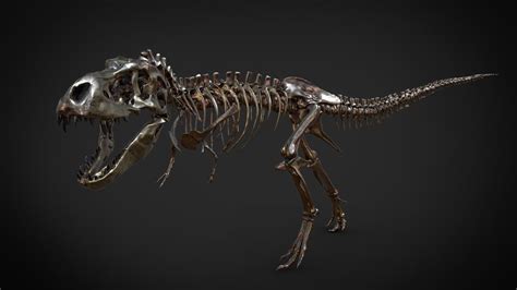 theropoda - A 3D model collection by pikaia (@pikaia2) - Sketchfab