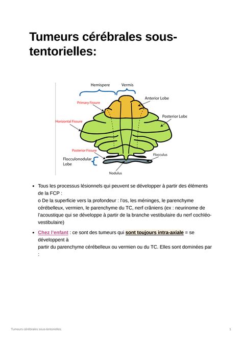 Solution Tumeurs C R Brales Sous Tentorielles Studypool