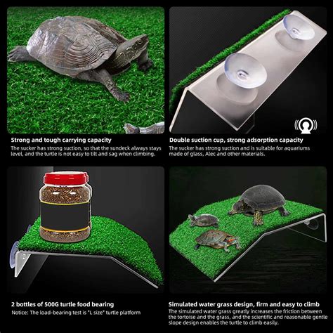 Turtle Ramp Turtle Basking Platform Tortoise Ramp Reptile Ladder