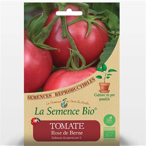 Tomate Rose De Berne Des Graines Bio Pour Les Semis Du Potager