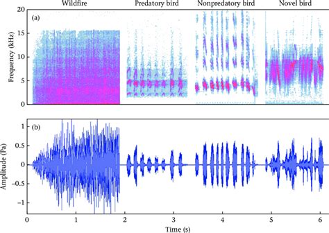 Representative Spectrograms And Waveforms Of Acoustic Stimuli Used To Download Scientific