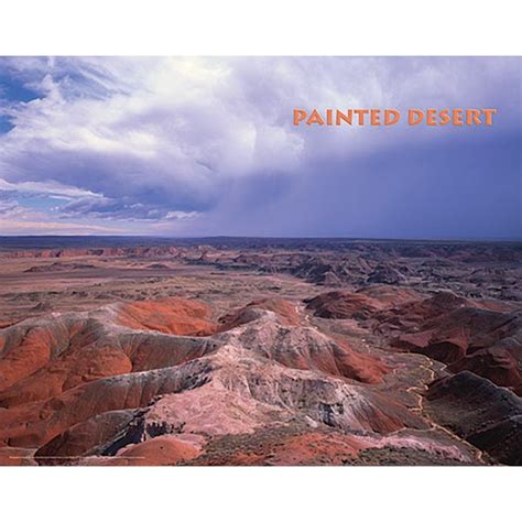 Painted Desert Poster | PFMA