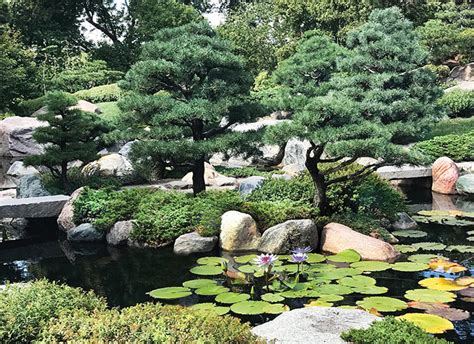 History and Modern Design of Japanese Gardens — Water Gardening by J ...