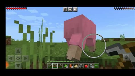 Encontrei Uma Ovelha Rosa No Minecraft YouTube