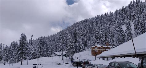 10 Things You Can Do In Gulmarg Kashmir Kashmir Tickets Tours And Packages