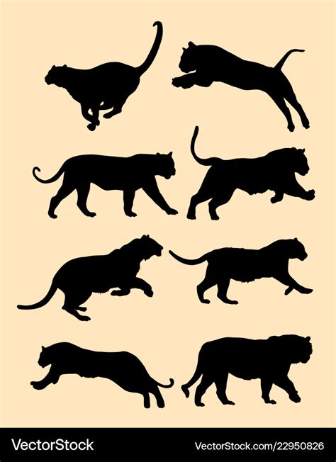 Cute Black Tiger Silhouette Royalty Free Vector Image