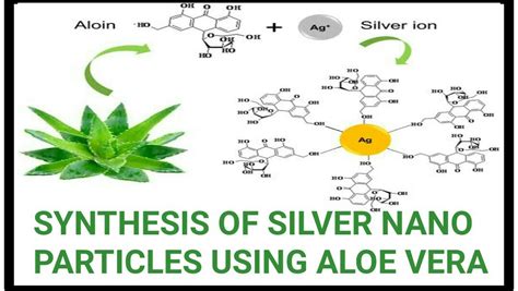 Synthesis Of Silver Nano Particles Using Aloe Vera Haskenews All