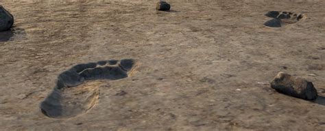 Hundreds Of Ancient Human Footprints Have Been Discovered Near An