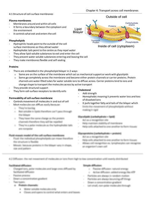 Solution Transport Across Cell Membranes A Level Biology Notes Studypool