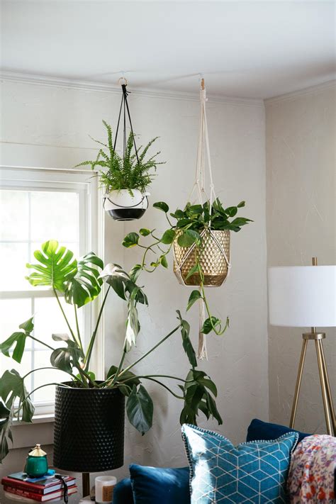 How To Hang Plants From Ceiling Hgtv