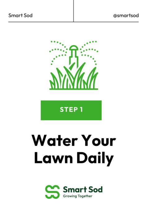 4 Ways To Prepare Your Yard For Hot Summers Smart Sod