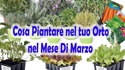 Cosa Piantare Nel Mio Orto A Marzo Youtube