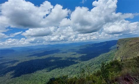 SOS Orinoco denuncia construcción de una carretera ilegal desde Brasil