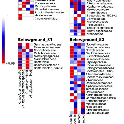 Heatmap Visualization Of The Bacterial Taxa Significantly Associated